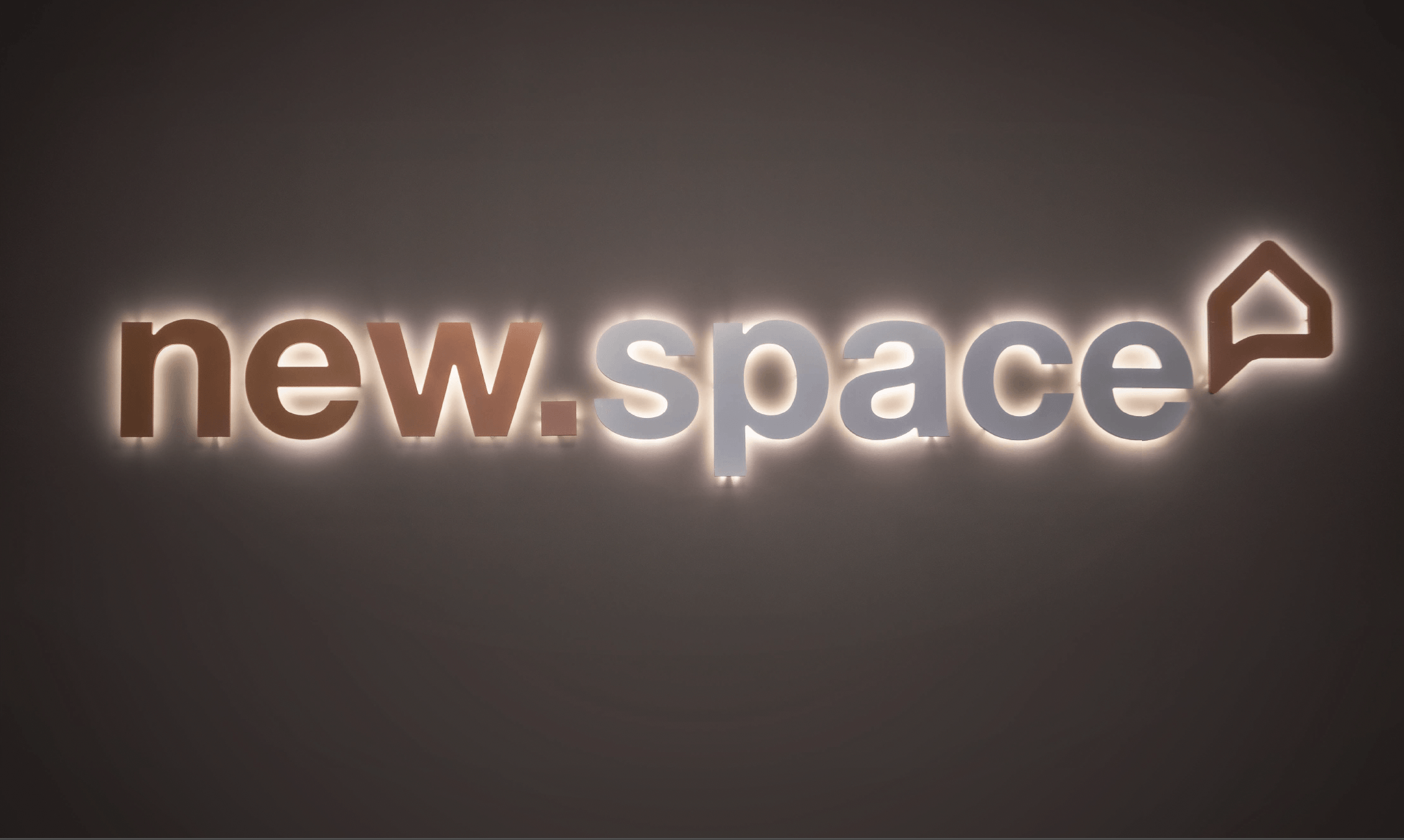 About new.space